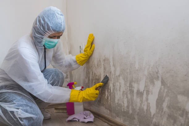 Crawl Space Mold Removal in Wewoka, OK