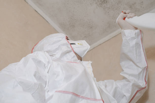 Best Mold Testing  in Wewa, OK