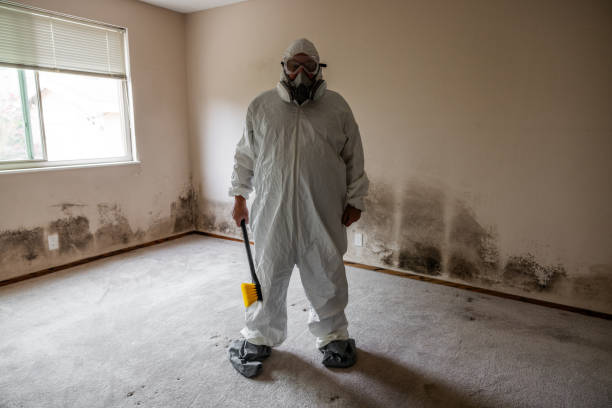 Best Mold Removal Process  in Wewa, OK